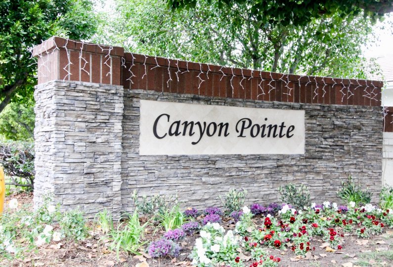 Canyon Pointe Anaheim Hills CA